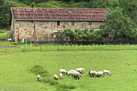 Atxondo valley in Axpe, Basque Country.