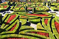 French garden, Chateau de Villandry, UNESCO World Heritage Site, Indre et Loire in the Loire Valley, France, Europe.