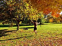 A youngman balancing on a strap tied to two trees in a park among autumn colours, Ontario, Canada. This popular activity is a complement to Yoga and o...