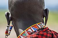Portrait detail of a Masai man with stretched earlobes wearing beaded earrings. Masai Village, Amboseli National Park, Kenya, Africa.