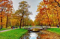 Breath taking scenic nature golden autumn foliage. Alexander Park Pushkin Tcarskoe Selo Russia.
