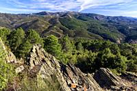 Slate rocks and The Sierra Norte and The Atazar village behind the pineforest. Madrid. Spain. Europe.