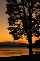 Tree silhouette sunrise, Middletown Lions Park, Middletown, Connecticut.
