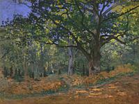 The Bodmer Oak, Fontainebleau Forest 1865 Painting by Claude Monet (1840–1926). MET-Museum, New York, USA.