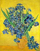 Iris, is an Post-Impressionism painting by Dutch artist Vincent van Gogh (1853–1890). Van Gogh Museum, Amsterdam, Netherlands.