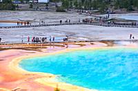 Grand Prismatic Spring from overlook in Yellowstone National Park, Wyoming, USA.
