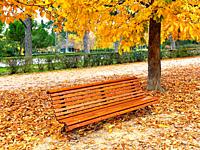 Wooden bench in Autumn. El Retiro park, Madrid, Spain.