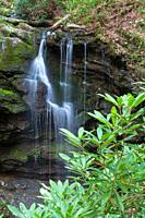 Waterfall in Whiteoak Sink in the Great Smoky Mountains National Park.