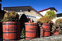 Viña Tondonia winery, Haro, La Rioja, Spain.