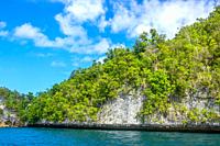 Islands of Indonesia. Raja Ampat Archipelago. The edge of a rocky island, overgrown with tropical vegetation.