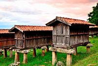 Horreos or raised granaries in A Merca, Ourense, Spain.