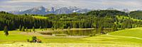 panoramic landscape with meadow and mountains at springtime.