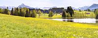 panoramic landscape with meadow and mountains at springtime.