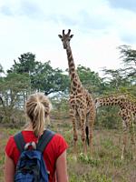 tourist looking at giraffes very close in park, Kenya