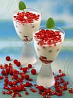 Yogurt with red fruits of autumn.