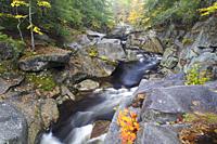 Agassiz Basin, on Mossilauke Brook, in North Woodstock, New Hampshire on a foggy autumn day. Agassiz Basin is named for Swiss naturalist, Louis Agassi...