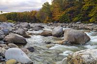 Autumn foliage along the East Branch of the Pemigewasset River in Lincoln, New Hampshire on a cloudy autumn day. This location is just above the site ...