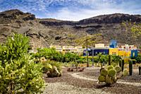 Park featuring different cactus species in Puerto de Mogan, Gran Canaria, Canary Islands, Spain.