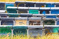 Beehives. Alburquerque. Badajoz province. Extremadura. Spain