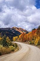 Aspens Welcome Autumn. . San Juan Mountains Silverton Colorado USA.