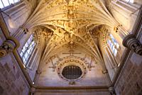 The Convento de San Marcos was a convent in León, Spain is today an operating luxury parador hotel. It also contains a consecrated church and museum, ...