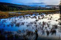 The River Tweed flooding near Stobo in Peeblesshire, Scottish Borders.