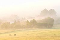 Fog at Socovce village on a summer morning, Slovakia.