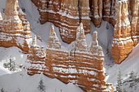 Fresh snow has fallen amongst the Hoodoos at Bryce Canyon NationalPark, Utah.