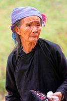 Portrait of a Black Hmong old woman in Sapa Vietnam. Lao Cai Province, Northern Vietnam.