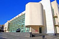 edifici Meier, arquitecte Richard Meier, 1995, Museu d'Art Contemporani de Barcelona, MACBA, Catalunya, Espanya  