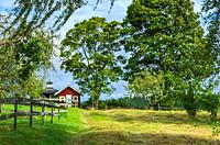 Högsbyn, Dalsland, Västra Götalands län, Sweden: Picturesque landscape and rural surroundings in the Tisselskog Nature Reserve near Bengtsfors, which ...