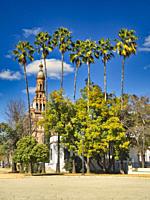 Maria Luisa park with date palms, Phoenix dactylifera, and north tower of Plaza de Espana, Seville, Andalusia, Spain.