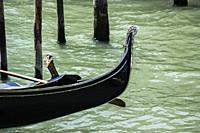 Partial view of a moored gondola in canal. Venice, Veneto Region, Italy, Europe.