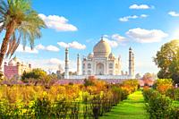 Beautiful garden in front of Taj Mahal, Agra, India.