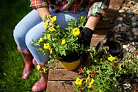 Gardener planting with flower pots tools. Woman hand planting flowers petunia in the summer garden at home, outdoor. The concept of gardening and flow...