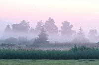 Morning fog in Klastorske Luky nature reserve, Slovakia.