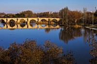 Stone bridge, Duero river, Zamora city, Zamora Provience, Castile and Leon, Spain, Europe.