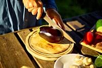 Unrecognizable woman cutting fresh eggplant vegetables on wooden board during weekend barbecue in yard, outdoor, prepare for grilling, summer family p...