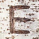 letter e, E, photo composition of creative alphabet building.