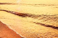 Soft sea ocean waves wash over golden sand background. Sunset, sunrise.