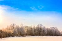 Landscape With Winter Forest And Blue Sky Background.