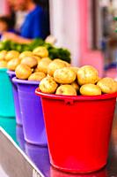Harvested potatos in colorful buckets.