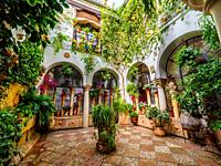 Traditional Andalusian courtyard full of plants and flowers in the old town - Cordoba, Spain.