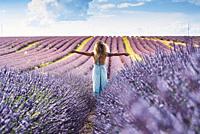 Happy and free traveler woman outstretching arms and enjoy amazing nature landscape in the middle of a violet lavender field flowers scenic destinatio...
