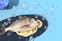 Sea bream washed down with fictitious ice cubes in an atmosphere of freshness and naturalness.