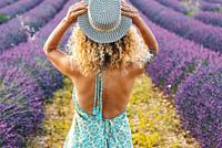 Back view of pretty curly blonde woman holding trendy hair and admiring a scenic lavender field. Travel female people lifestyle. Elegant rear of femal...