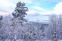 Winter landscape with nice light, plenty of snow, mountains in background, Stora sjöfallet national park, Gällivare county, Swedish Lapland, Sweden.