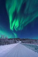Northern light, aurora borealis in winter with snow, colorful with green and purple, among trees and a road in the forest, Gällivare, Swedish Lapland,...