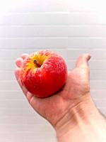 Man´s hand holding an apple fruit against white bricks wall