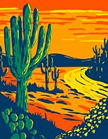 WPA poster art of the Saguaro, Carnegiea gigantea, a tree-like cactus genus at dusk in Saguaro National Park in Tucson, Arizona done in works project ...